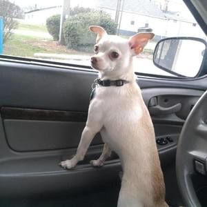 Meet your Posher, Crystal